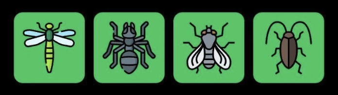 FLIES Daily Combo 27 May 2025